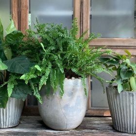 Petites plantes artificielles : où les placer et comment les choisir ?
